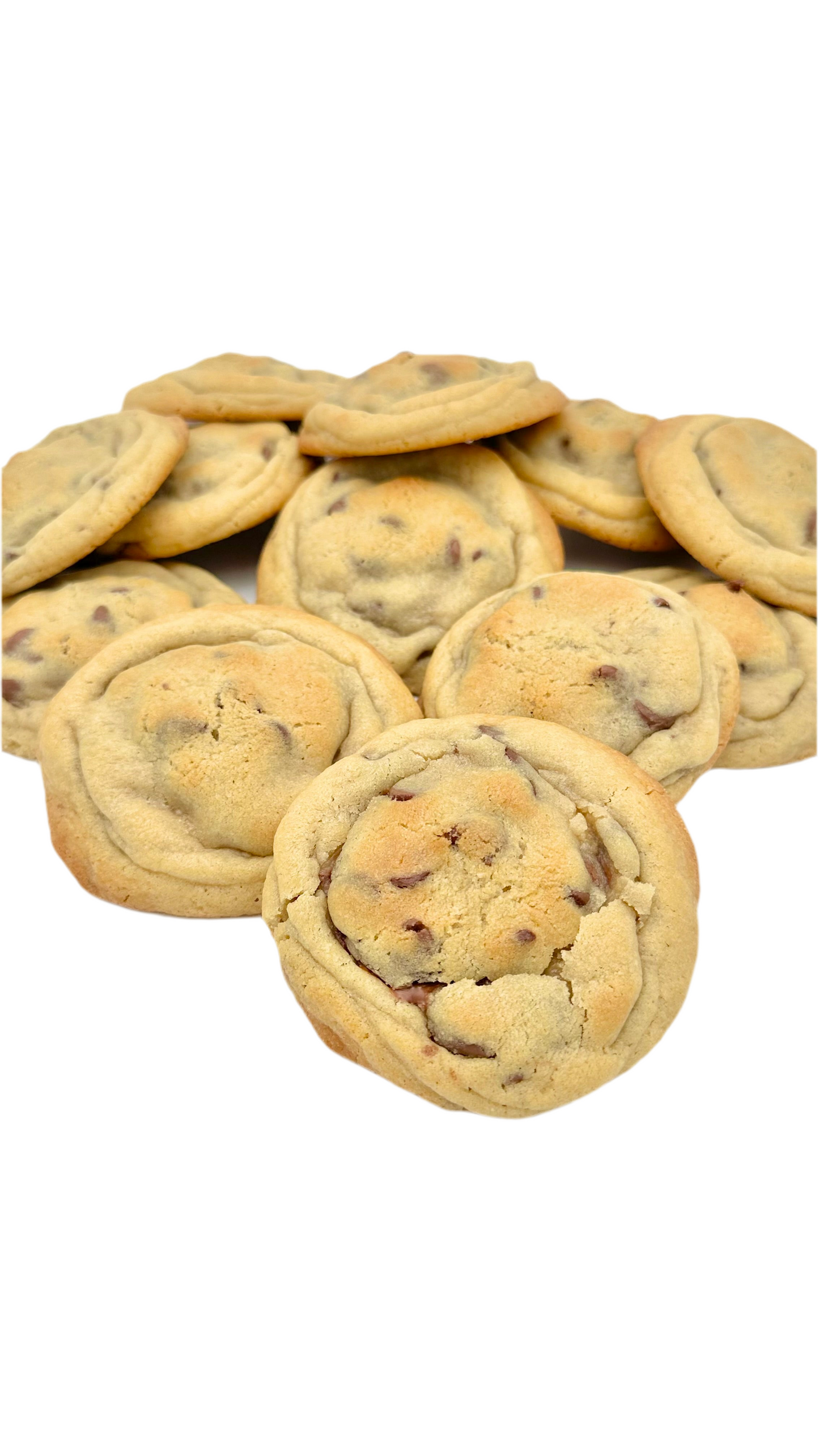 Chipwrecked - One Dozen