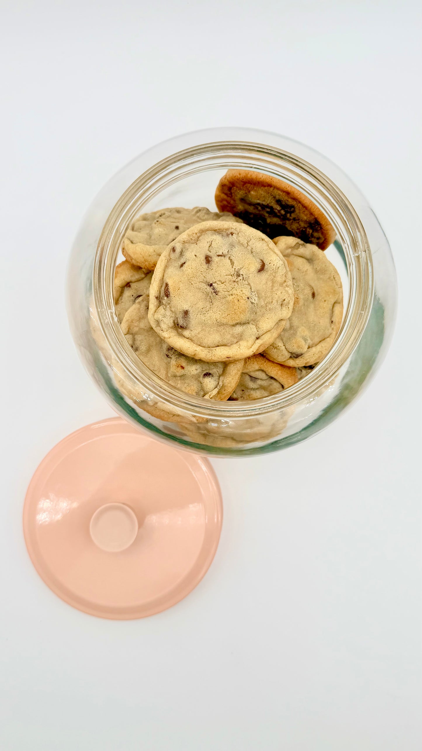 Chipwrecked - One Dozen