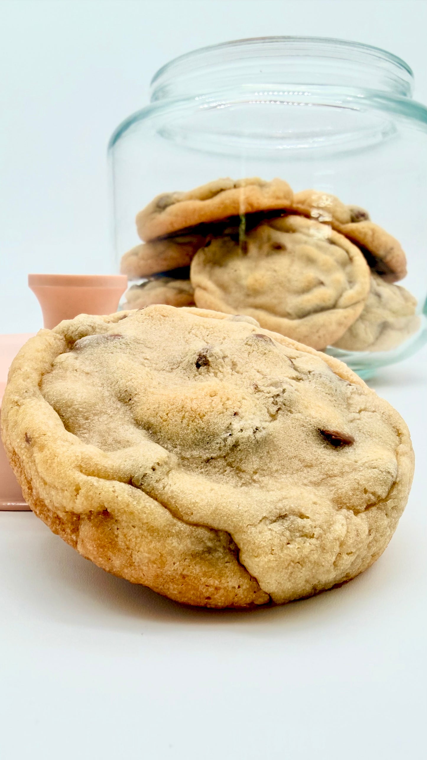 Chipwrecked - One Dozen