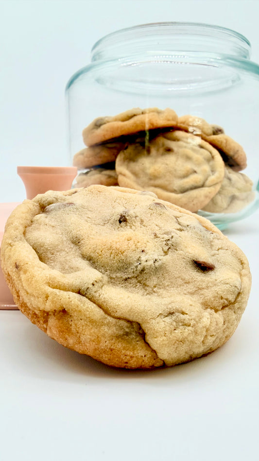 Chipwrecked - One Dozen