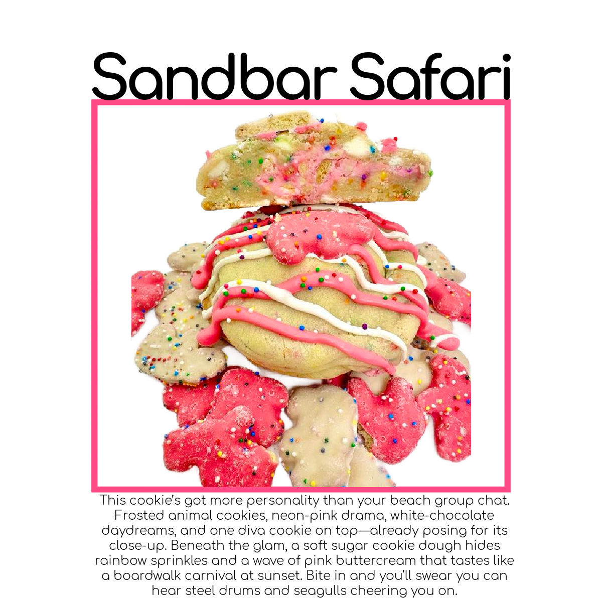 Sandbar Safari